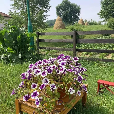 Bosanska Avlija-muzej- *